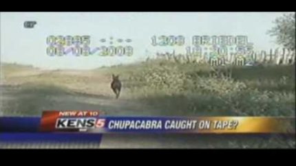Chupacabra caught on dash cam? (courtesy KENS 5)