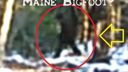 Maine Bigfoot Turner footage enhanced!