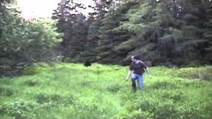 PEI Bigfoot Sighting (High Quality) – Sasquatch Prince Edward Island, Canada