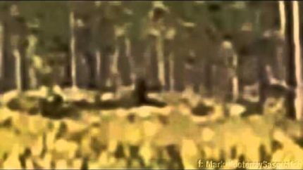 Florida Skunk Ape Caught on Film (2013)
