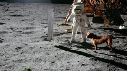 What’s Up With All the Moon Landing Hoaxes?