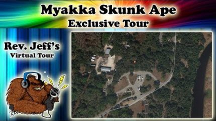 Myakka Skunk Ape Sighting Exclusive Virtual Tour