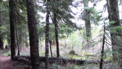 Oregon Camper goes Missing at Bigfoot Sighting Hot Spot