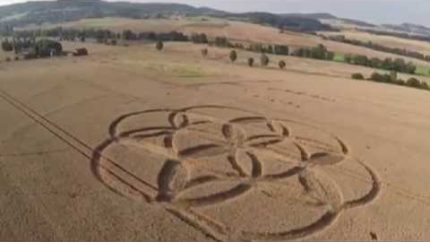 Crop circles August 2014: Germany and Sweden