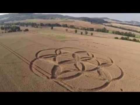 Crop circles August 2014: Germany and Sweden