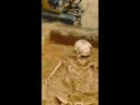 Giant Skeleton – A Hoax or Misinformation about truth???