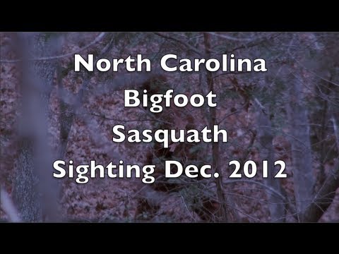 Bigfoot Sighting While Deer Hunting 2012