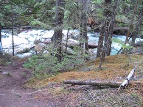 Bigfoot Sighting Canada: Rare Footage in Canadian Wilderness