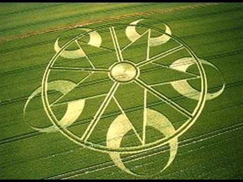 Complex Star Shaped Crop Circle Sighting