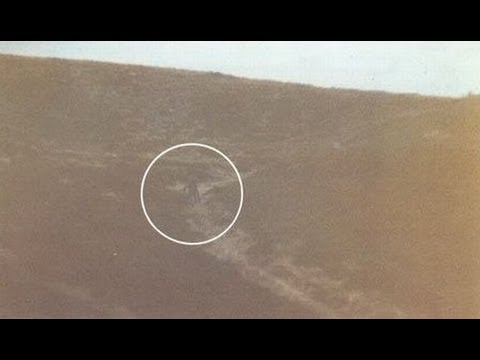 THE WEIRDEST CROP CIRCLES EVER, PLUS NEW 2013 ALIENS SPOTTED!!!