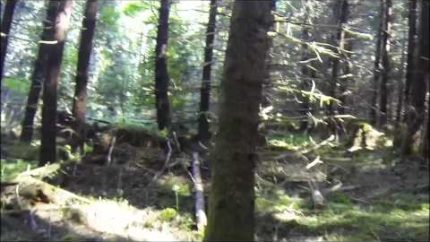Possible Bigfoot sighting on GoPro video. WASRT 20 Aug 2013