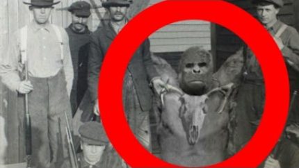 Real BIGFOOT / SASQUATCH x 2 captured & killed Pennsylvania USA circa 1870! (Latest real evidence!)