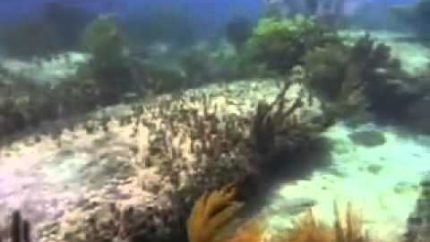 The Undersea Discoveries of the Lost City of Atlantis (3).flv