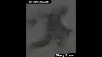 Stacy Brown FLIR Bigfoot Footage – Enhancement