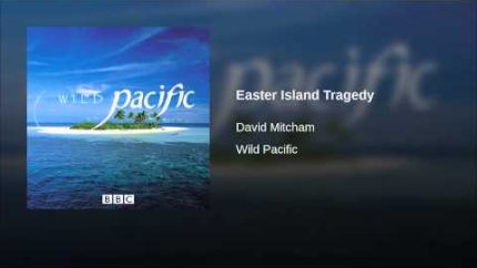 Easter Island Tragedy