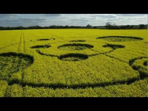 2012 crop circles – Water Eaton Copse, Hannington, Wiltshire, UK 12 May