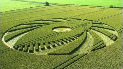 Perfect Scale Crop Circle Sighting