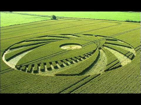 Perfect Scale Crop Circle Sighting