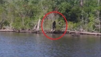 Big Foot Sightings Caught on Camera 2015 , Angels or Demons Foot Caught on Tape Very Scary