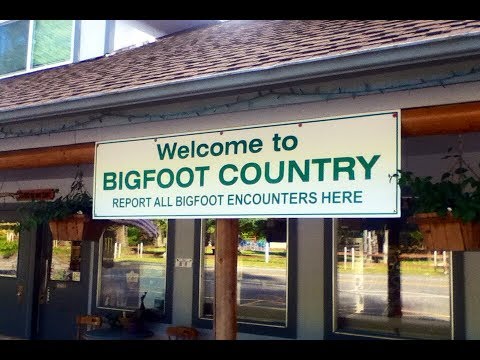 Blonde Bigfoot Sighting Account with Barb & Gabby