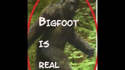 The Truth? Bigfoot is real!