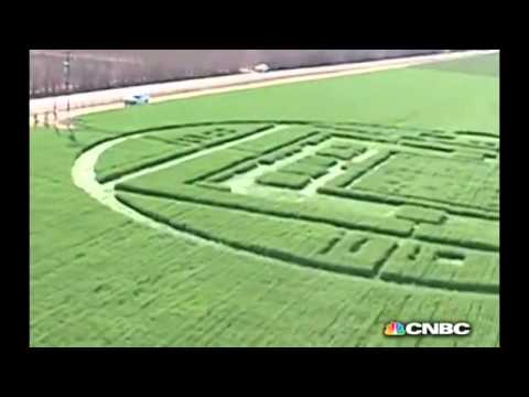 California’s crop circle mystery solved _ Watch the video