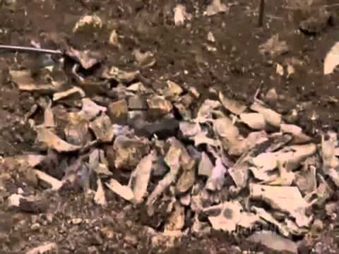 Secrets of Stonehenge documentary english Part 1