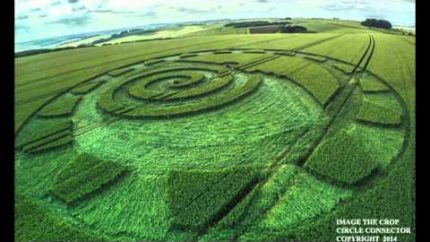 2014 crop circles:  Wiltshire, UK 8 July 2014