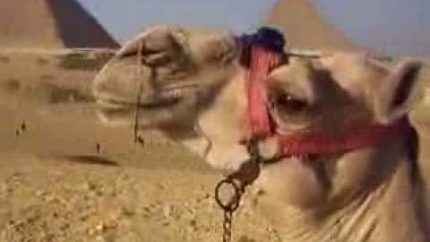 The Great Pyramids of Giza Egypt… quick view