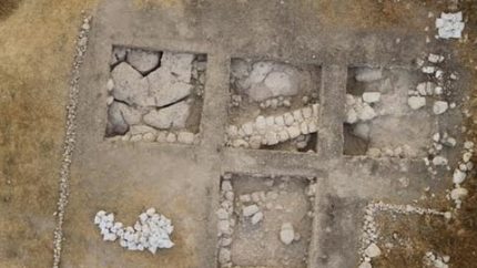 Ancient Nephilim-Baal Worship Complex Unearthed In Israel!