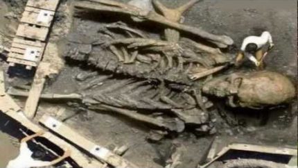 Giant human skeleton found in Saudi Arabia