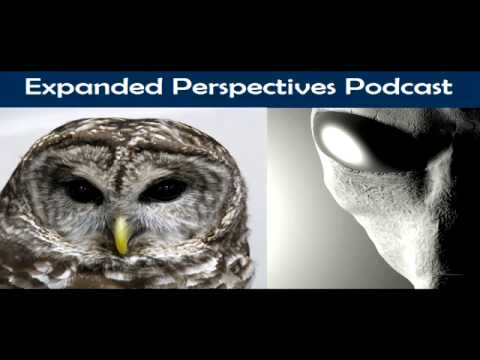 Real MIB Encounters/Owls and Abductees