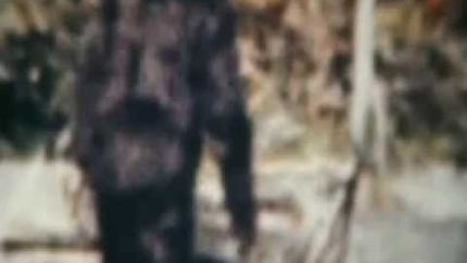 First Bigfoot Sighting – UnexplainedMonsters.com