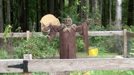 THE SCARIEST SCARECROW EVER MADE
