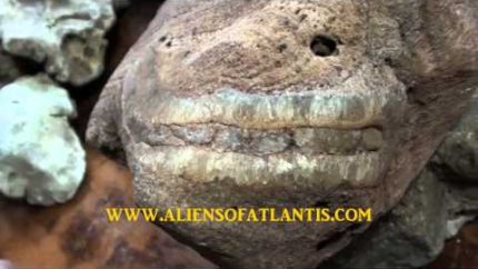 Amazing Crystal ALIEN Skull Fossil