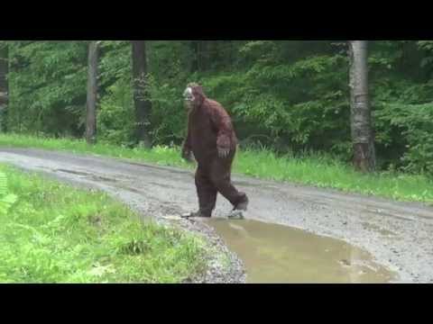 BIGFOOT CAUGHT ON TAPE – THE BEST VIDEO EVIDENCE EVER