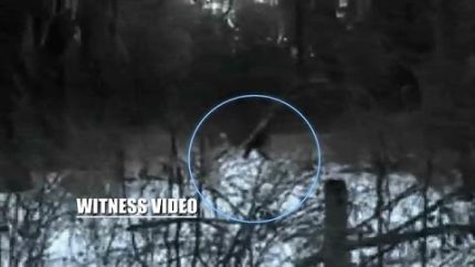 This Bigfoot Sighting Was a Family Affair | The Best Bigfootage