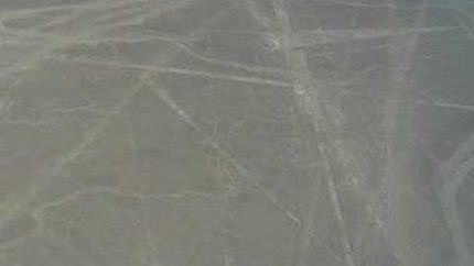 Nazca Lines:  Parrot in Southern Peru