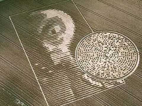 Crazy Crop Circles – Alien?  I think not!!!