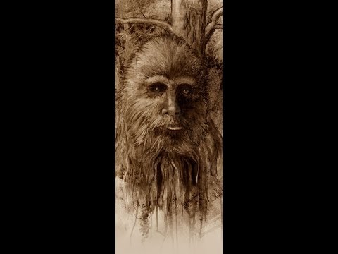 Bigfoot aka Sasquatch Sightings Go Far Back In Canada’s History CBC News