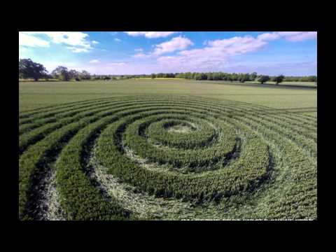 Latest crop circles: Foxley Road, nr Sherston, Wiltshire 9 June 2015