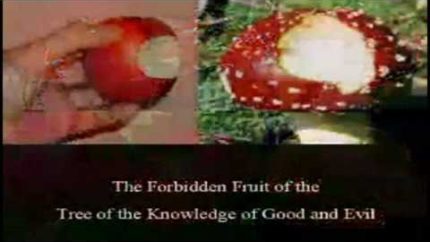 1 8 Occult Esoteric Artwork Adam & Eve Forbidden fruit & the Holy Grail 2004 Excerpts