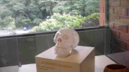 Crystal Skull GUATEMALA