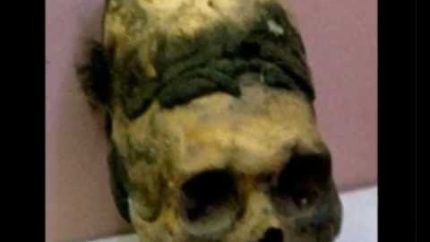 Secret Space ANNUNAKI – King Tut Nephilim Skull, Royal Egyptian Blue Blood Reptilian Hybrids
