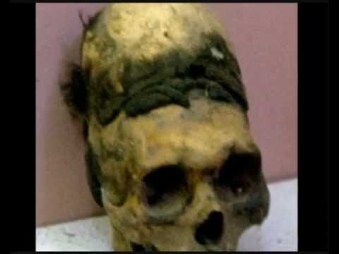 Secret Space ANNUNAKI - King Tut Nephilim Skull, Royal Egyptian Blue ...