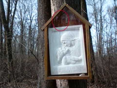 Face of Jesus Christ appears in reflection during stations of the cross!!! 2011 MIRACLE- MUST SEE!!