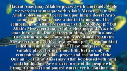 The True Identity of Prophet Muhammad (pbuh). Who Prophet Muhammad (pbuh) was.