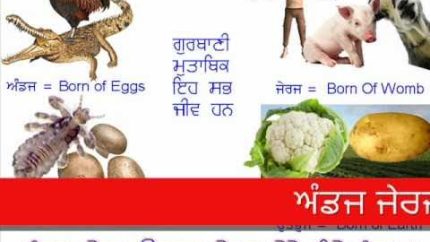 Gurbani Anusaar: What is Meat ? Meat Eating in Sikhism – Part 1