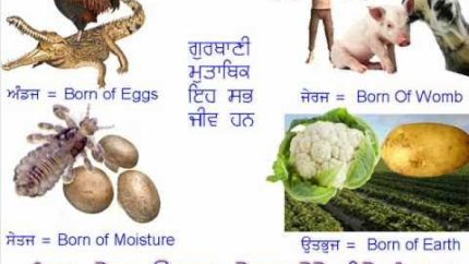 Gurbani Anusaar: What is Meat ? Meat Eating in Sikhism – Part 2