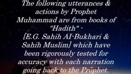 Why muslims defend The Prophet Muhammad (P.B.U.H) : A True Prophet